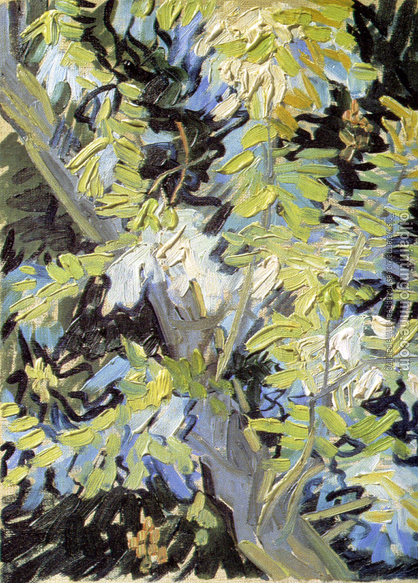 Gogh, Vincent van - Branches of Flowering Acacia